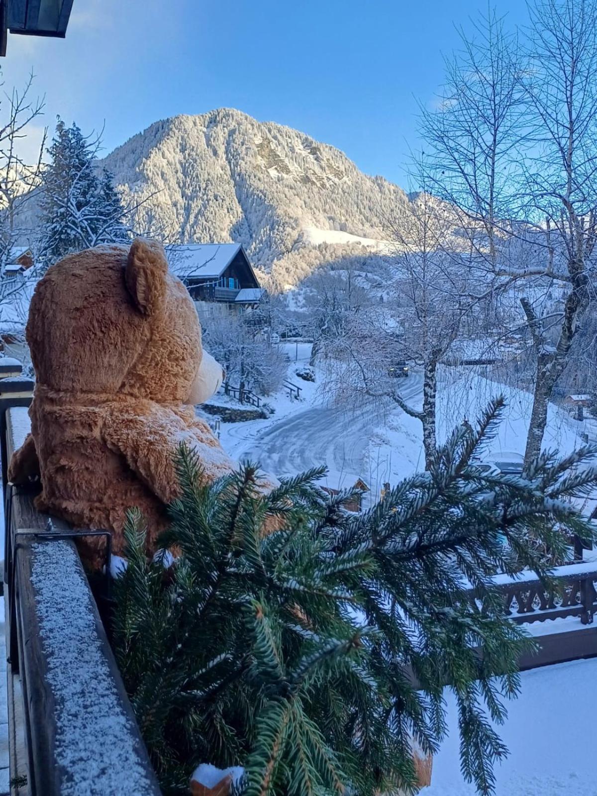 Chalet Appart'Hotel L'Eau Vive Saint-Nicolas-la-Chapelle  Bagian luar foto